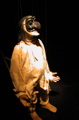 DSCN5199.JPG